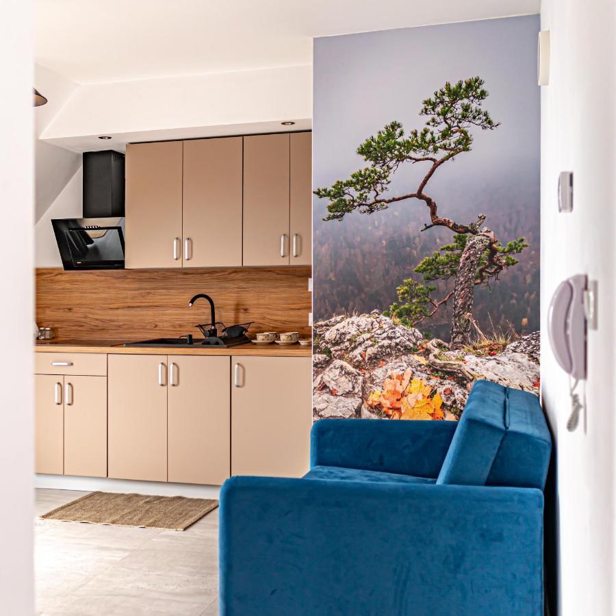 שורשטז'ין Velo Apartamenty מראה חיצוני תמונה